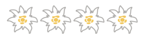 4_Edelweiss_Auszeichnung